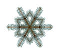 White fir branches hexagon edited as a Christmas winter snowflake isolated against white background. Royalty Free Stock Photo