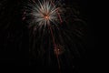 White Dandelion Shaped Firework Fourth of July