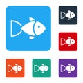 White Fish icon isolated on white background. Set icons in color square buttons. Vector Royalty Free Stock Photo