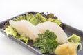Black plate with white fish Nigiri Royalty Free Stock Photo