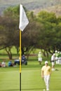 White Flag on Golf Course Royalty Free Stock Photo