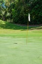 White flag in golf course green grass Royalty Free Stock Photo