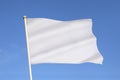 White Flag of Surrender - Business Metaphor