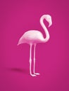 white flamingo on pink background Royalty Free Stock Photo