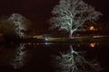 Two White Floodlit Trees Reflecting on a Calm Lake at Night.