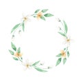 White Floral Green Leaves Wreath Floral Leaf Garland Yellow Royalty Free Stock Photo