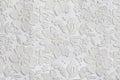 White floral lace texture background