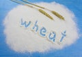 White flour with wheat ears Royalty Free Stock Photo