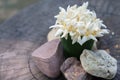 White flower arrangement