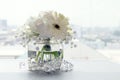 White flower beautiful in a clear glass vase, flower in vase for interior decoration office and home