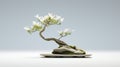 White Flower Bonsai: Japanese-inspired 3d Rendering With Contemporary Ceramics