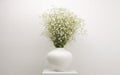 White flower bouquet in white vase on gray interior. Minimalist still life. Light and shadow nature horizontal background Royalty Free Stock Photo