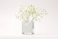 White flower bouquet in vase on gray interior. Minimalist still life. Light and shadow nature horizontal background Royalty Free Stock Photo