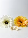 White flower earrings with flowers on the background