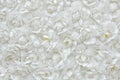 white flower of the fabric, floral background
