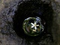 White Flower Floating on Water Surface inside Hole in Lava Stone along Kalalau Trail on NaPali Coast on Kauai Island, Hawaii. Royalty Free Stock Photo