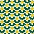 White flower on green background seamless pattern. Vector background Royalty Free Stock Photo