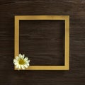 White flower on a gold frame. Dark wooden background. Text space. Top view. Minimal style Royalty Free Stock Photo