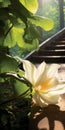 Enigmatic Tropics: White Flower On Stair With Golden Light