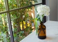 White flower in grass bottle on white table Royalty Free Stock Photo