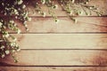 White flower on grunge wood board background with space. Royalty Free Stock Photo