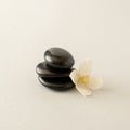 White flower jasmine and black stones on grey background. Spa relax concept, zen like stones concept. Copy space Royalty Free Stock Photo