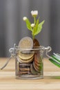 A white flower with leaves grows out of a jar of small coins in euro cents on a neutral background, selective focus.Concept: busin