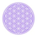 White Flower of Life Sacred Geometry on a pastel purple circular field