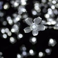 White Flower Lights Bokeh Royalty Free Stock Photo