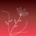 White flower on a red backgrou Royalty Free Stock Photo