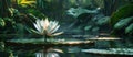 White Flower Resting on Lily Pad Royalty Free Stock Photo