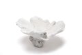 White Flower-Shaped Coral Trinket on a White Background