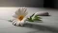 a white flower sitting on top of a table next to a computer mouse. generative ai Royalty Free Stock Photo