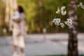 White flower on the tree. White flower on an apple tree. Spring flower