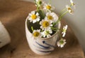 White flower in a vase