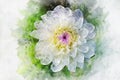 White flower: Watercolor style dahlia for background, textu