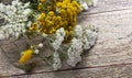 White flowering umbels and buds of wild carrot and tansy on wood background