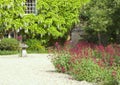 White flowering wisteria on cottage wall