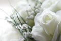 White flowers Royalty Free Stock Photo