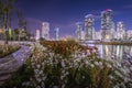White flowers and beautiful night view at Songdo Central Park in Songdo District, Incheon South Korea Royalty Free Stock Photo