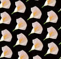 white flowers on a black background.pattern holiday design.valentine idea.pure love zen spring garden Royalty Free Stock Photo