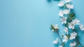 White flowers on blue background with blank space. Royalty Free Stock Photo