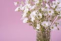 White flowers bouquet in glass vase on pink background Royalty Free Stock Photo