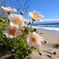 White flowers and buds of green leaves, grass on a sandy beach, by the water. Flowering flowers, a symbol of spring, new life Royalty Free Stock Photo
