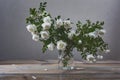 White flowers of dog roses or rosehip on green leaves background in a glass vase Royalty Free Stock Photo