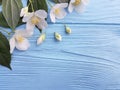 white flowers freshness springtime sunny arrangement on a blue wooden background