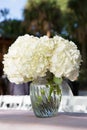 White flowers in glass vase