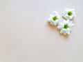 White flowers on ivory / beige background. Floral frame or border, copy space. Top view, lifestyle