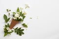 White flowers jasmine local flora of asia in cone on white