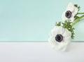 White flowers on light blue border paper background